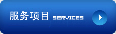 服务项目
